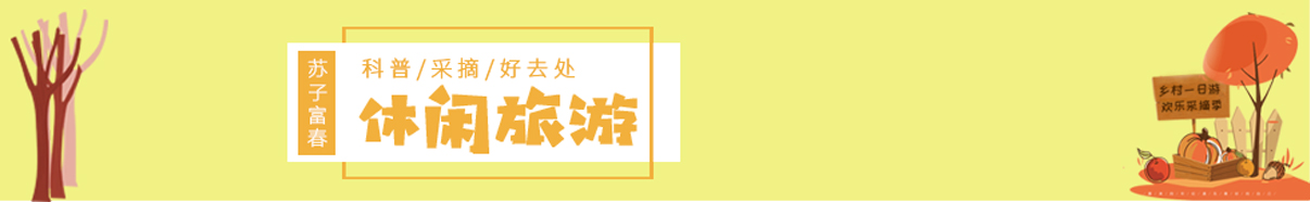 休閑旅游